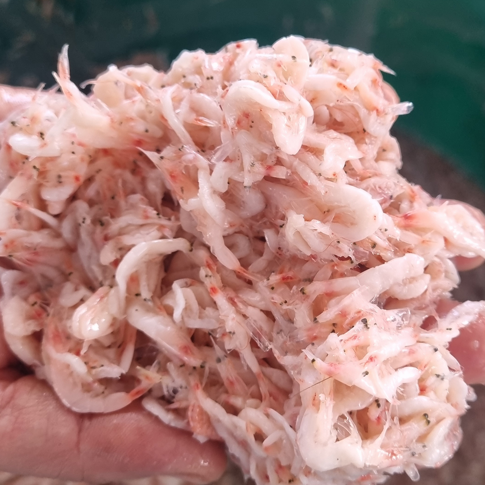 신안 천일염 새우젓 추젓 1kg 2kg 국내산 김장용 요리용 자연숙성