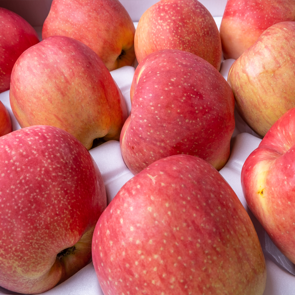 GAP 저탄소 청송 후브락스 부사 사과 3kg 소과 (13-15과) 산지직송 제철 과일