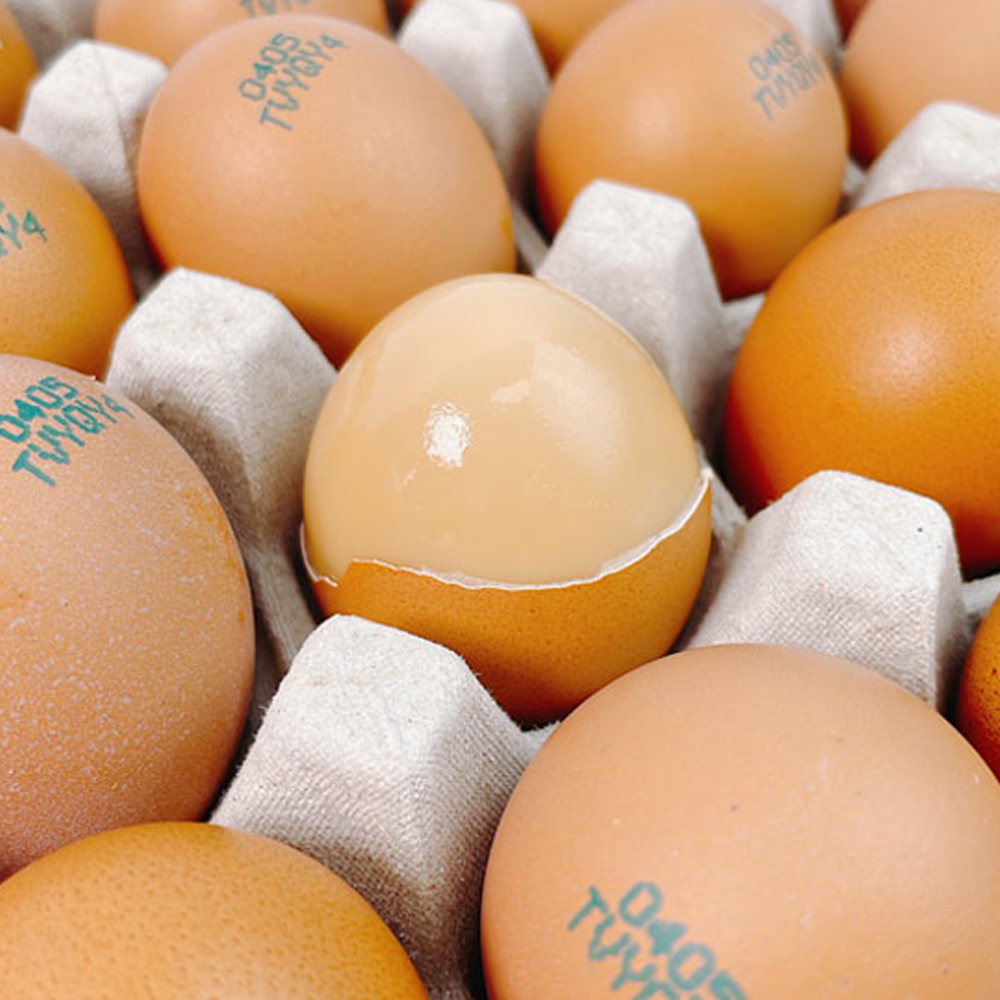 훈제란 구운계란 구운란 훈제계란 중란 대란 30구 60구