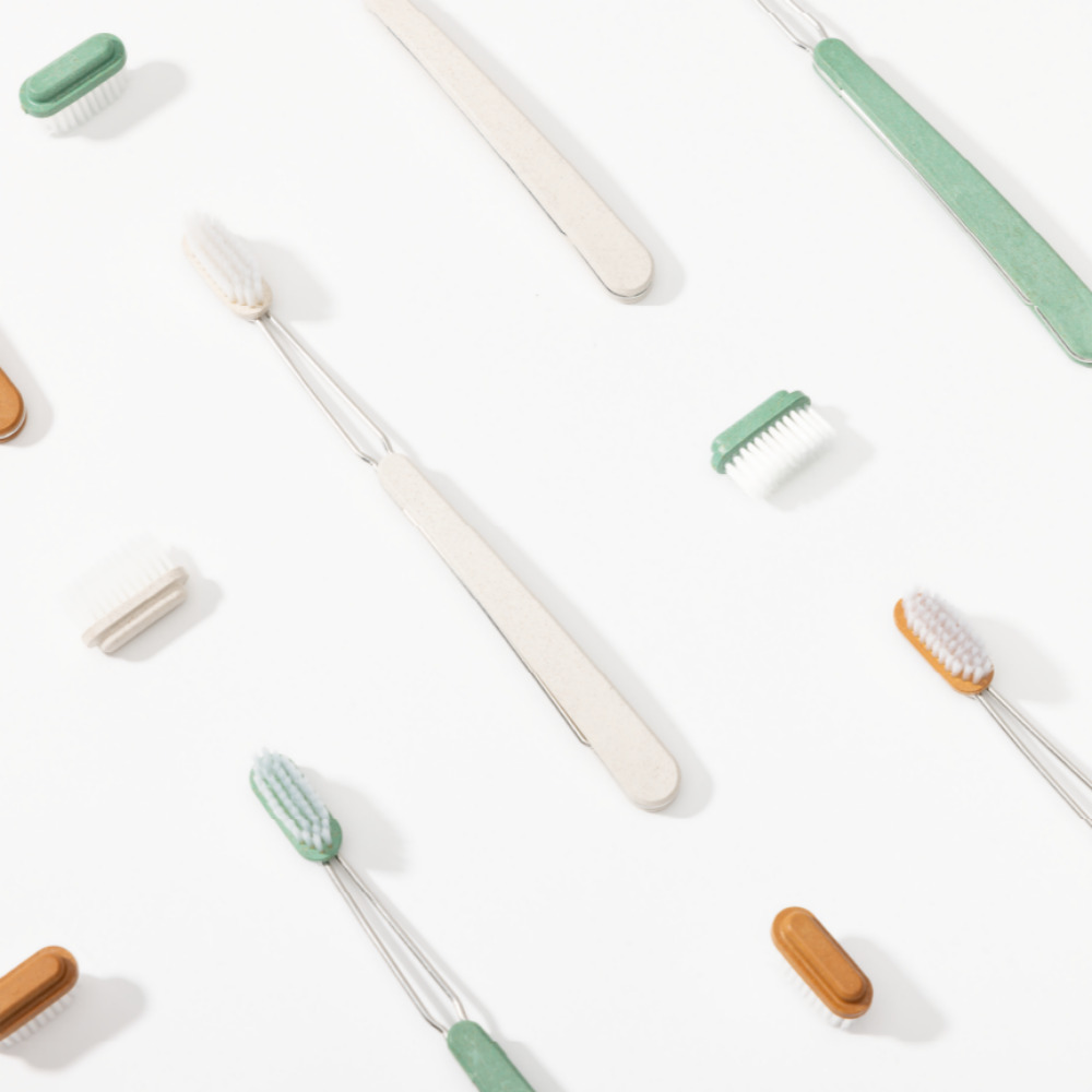 헤드 교체형 트위그 칫솔 1세트(본품+리필5개)