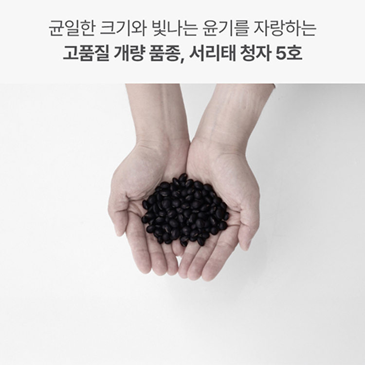 콩사랑영농조합 서리태콩즙두유 국산 검은콩 고단백 맷돌 무가당 두유