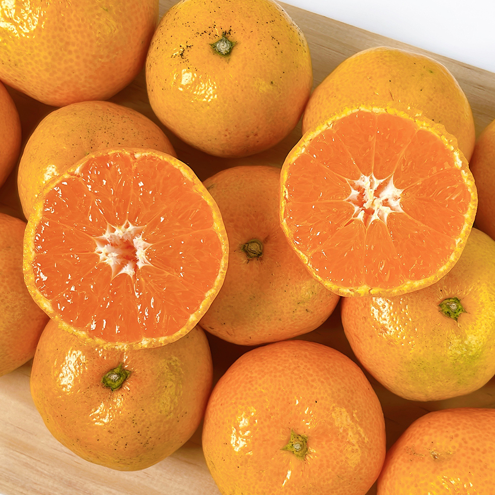 [햇땅] 제주직송 노지 감귤 3kg 소과 중과 로얄 택1 대표이미지 섬네일