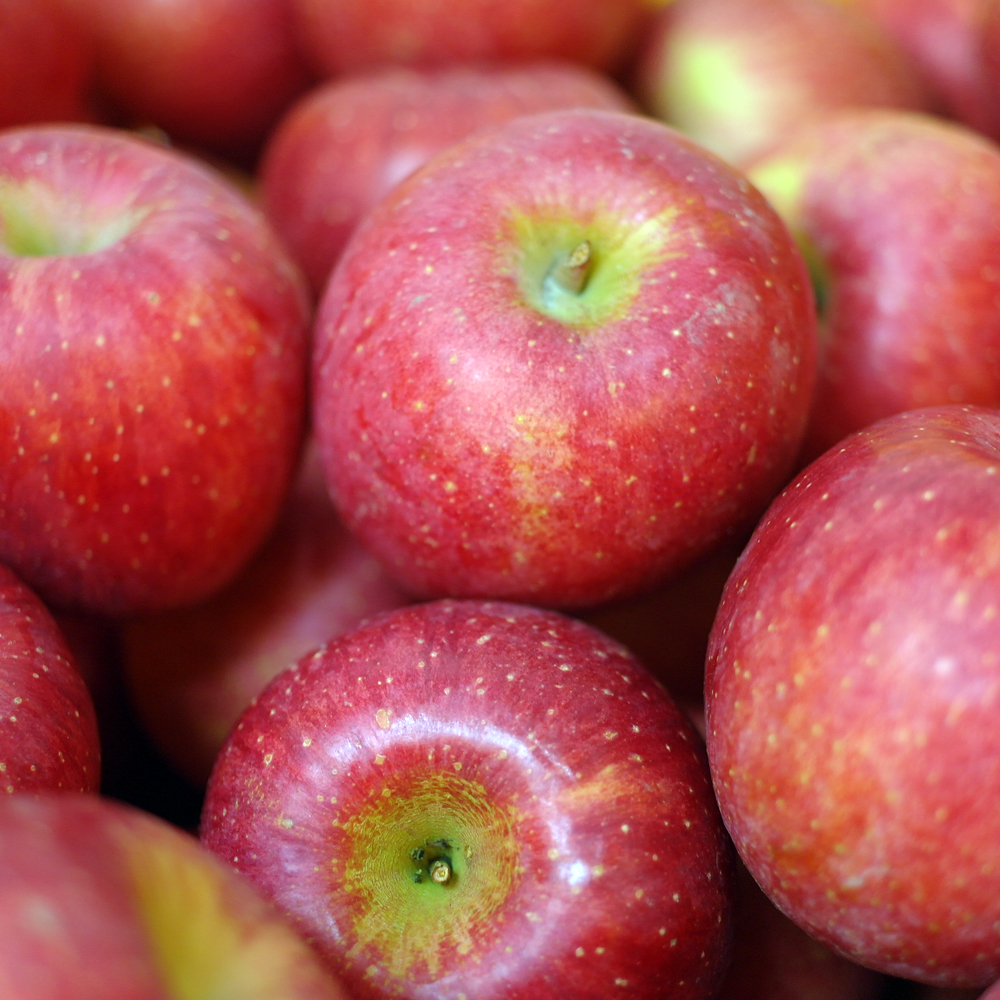 가정용 부사 사과 (2kg/4kg)