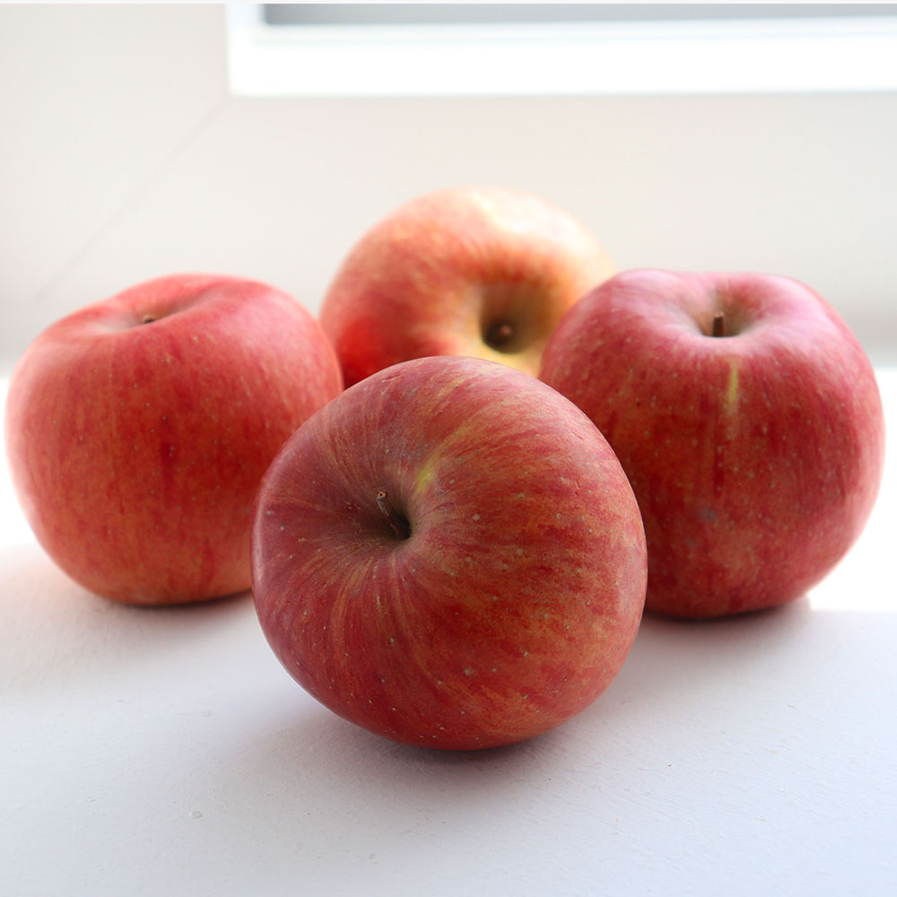 GAP 가정용 A급 부사 사과