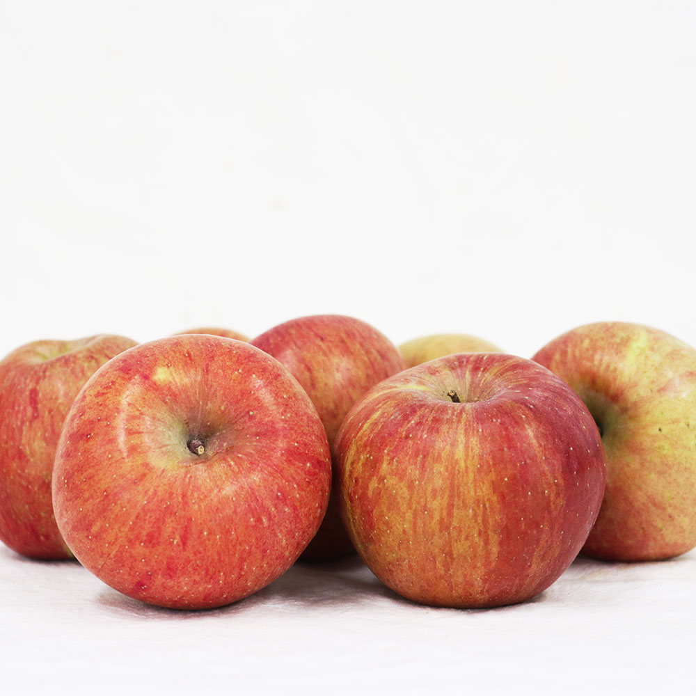 GAP 가정용 A급 부사 사과