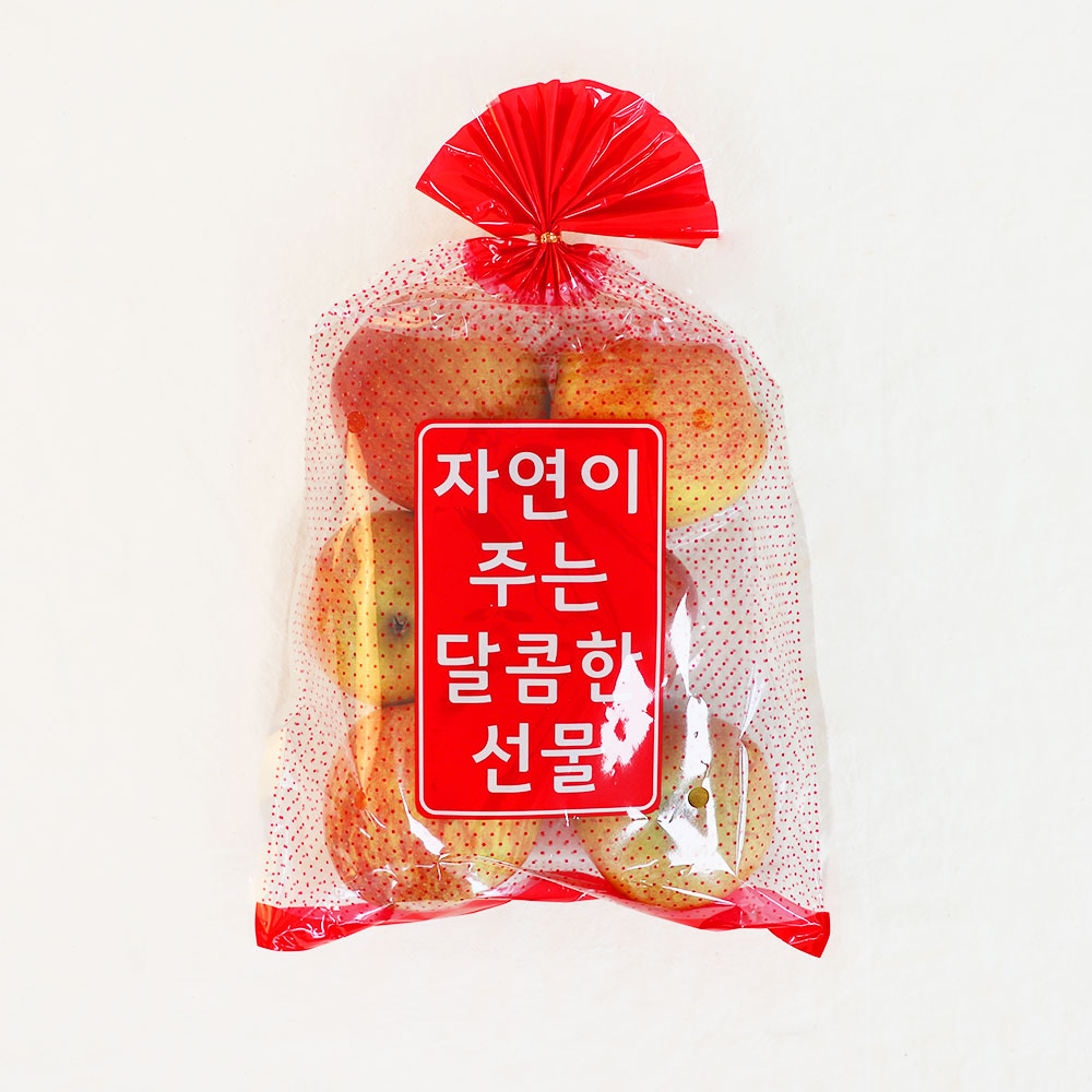 GAP 가정용 A급 부사 사과