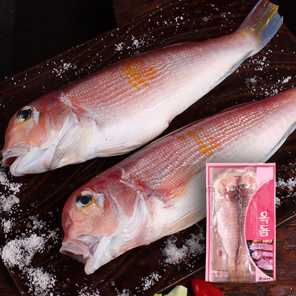 [애명작] 제주 홍옥돔 왕특대 1kg 2마리(마리당 500g내외)