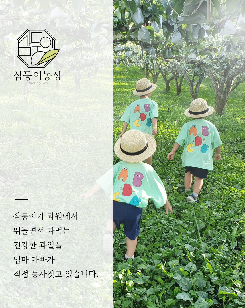 착즙배도라지즙(100mlx30포)