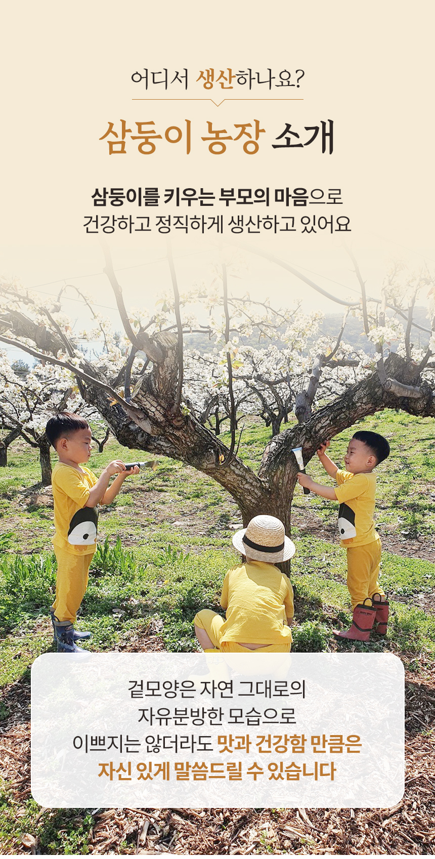 착즙배도라지즙(100mlx30포)