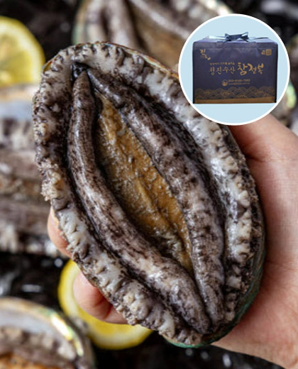 초신선 활전복 선물세트 1kg(6-7미)/100% 국산