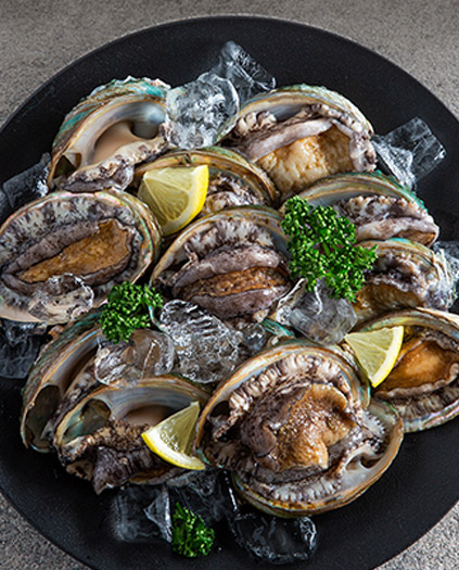 초신선 활전복 선물세트 1kg(6-7미)/100% 국산