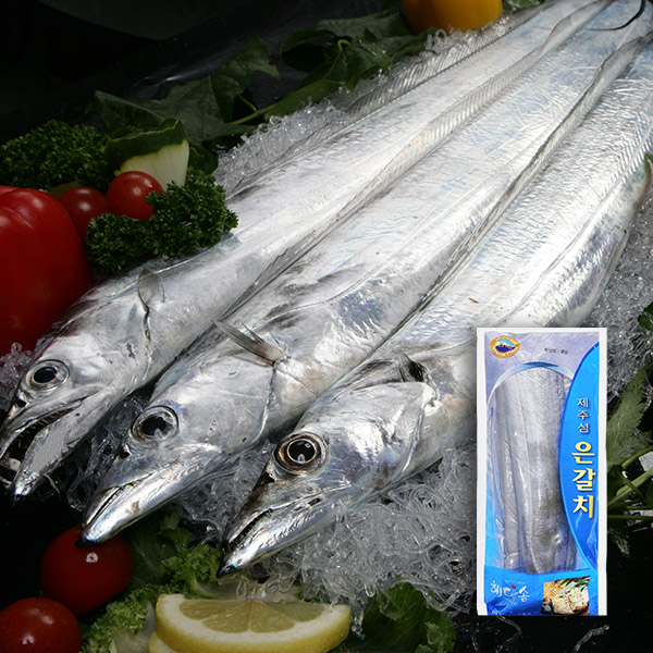 [애명작] 프리미엄 제주 은갈치 3마리(특대/손질 후 중량 1.35kg 내외)