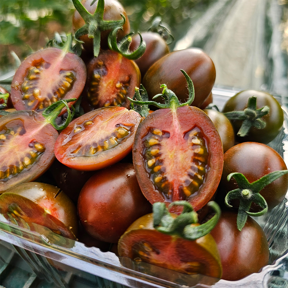 흑대추 방울토마토 대저 흑토마토 로얄과 1kg 2kg