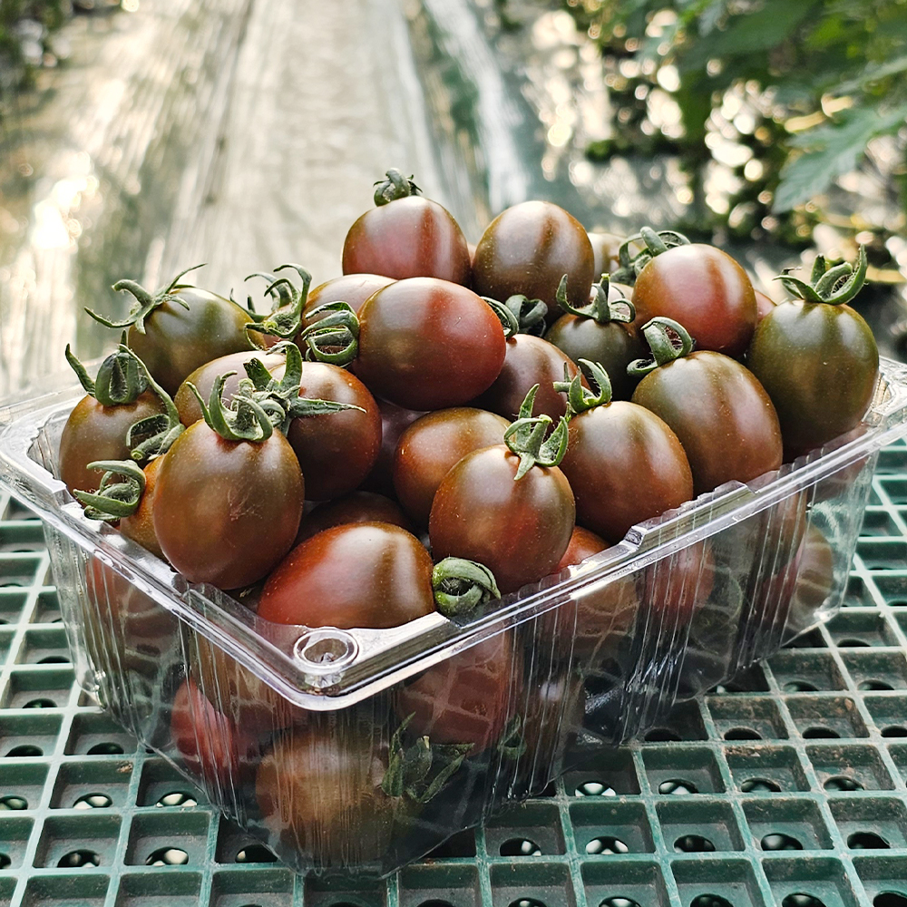 흑대추 방울토마토 대저 흑토마토 로얄과 1kg 2kg 대표이미지 섬네일