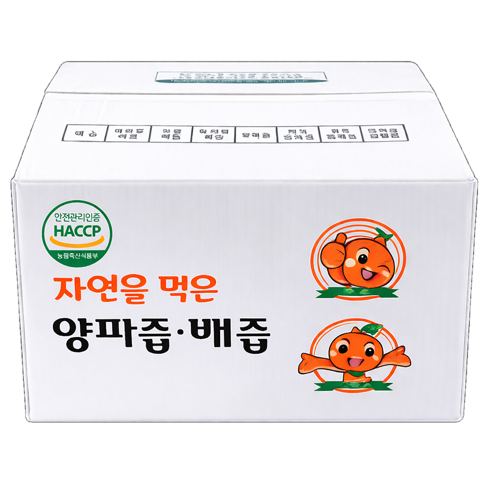 자연을 먹은 무안 양파즙 100ml x 100팩 / HACCP