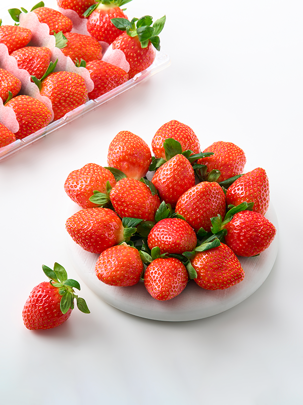 GAP저탄소 설향딸기(특/500g)