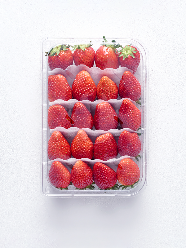 GAP저탄소 설향딸기(특/500g)