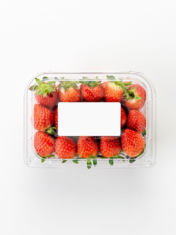 GAP저탄소 설향딸기(상/500g)