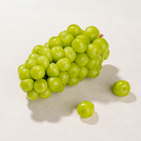 [세원팜스] 당도선별 고당도 GAP 샤인머스켓