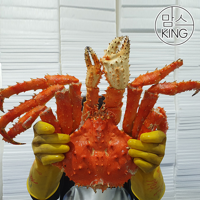 [맘스킹]정성씨푸드 동해직송 러시아 A급 킹크랩 자숙