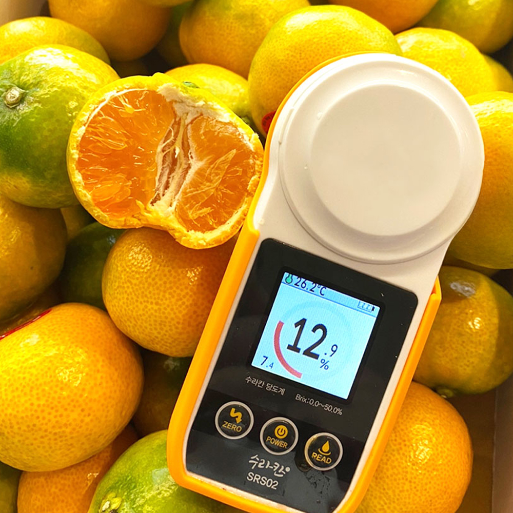 제주 서귀포 타이벡 감귤 노지 조생 귤 가정용 선물세트 4.5kg 9kg