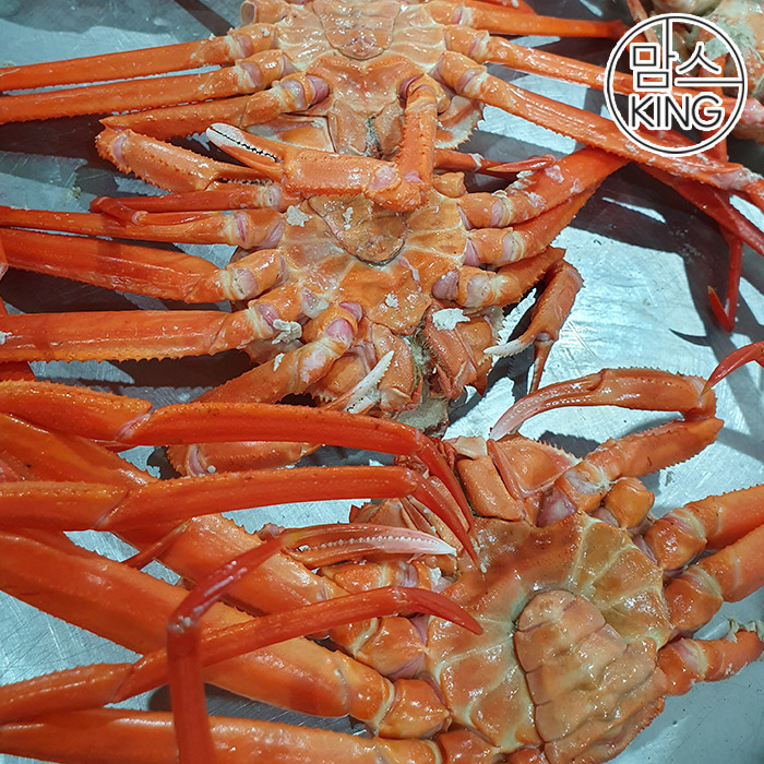 [맘스킹]정성씨푸드 국내산 자숙홍게 라면/육수용 3KG(813미)