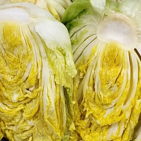 신선한 국내산 배추와 천일염으로 절인 절임배추 10kg