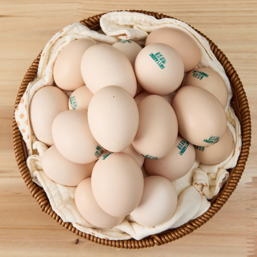 nongmo 유기농 백봉오골계 계란 50구