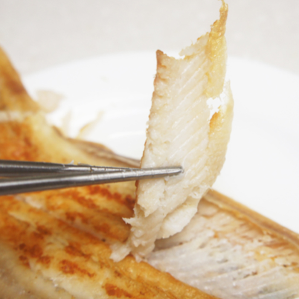 [반건조박대5미 특가] 군산 반건조 황금빛 박대 5미