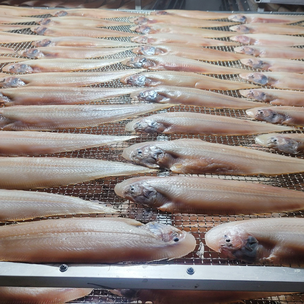 [반건조박대5미 특가] 군산 반건조 황금빛 박대 5미