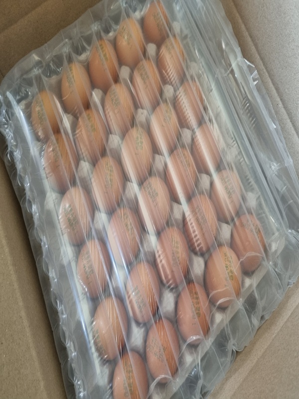 난각번호 1번 계란 자연방사 무항생제 유정란 달걀