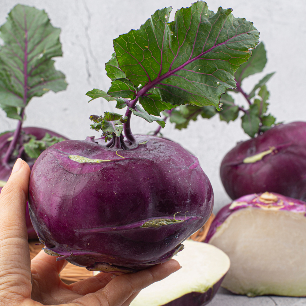 아삭하고 달큰한 제주 햇 콜라비 3kg 5kg 10kg