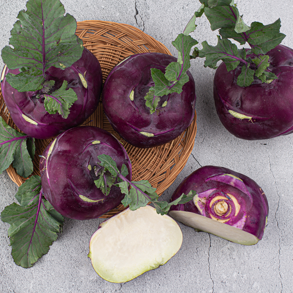 아삭하고 달큰한 제주 햇 콜라비 3kg 5kg 10kg