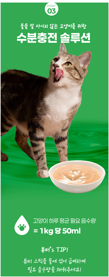 튜터연어브로콜리스틱50개입