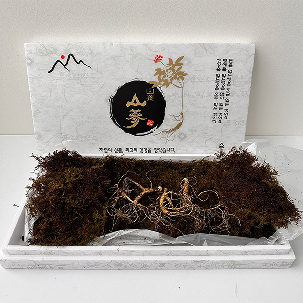 [햇땅] 장뇌삼 산양삼 5-6년 7-8년 택1