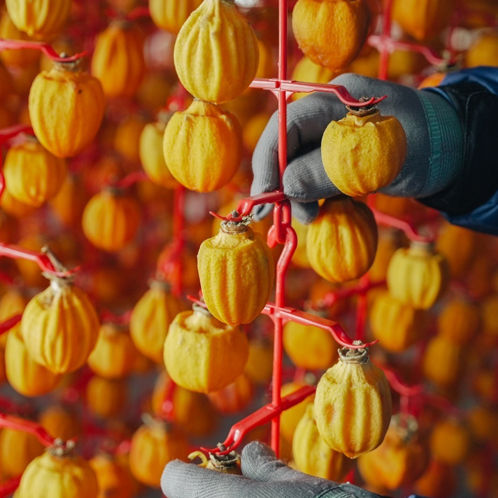 실속형 전통 간식 상주 곶감 봉지곶감 500g (10-15과)