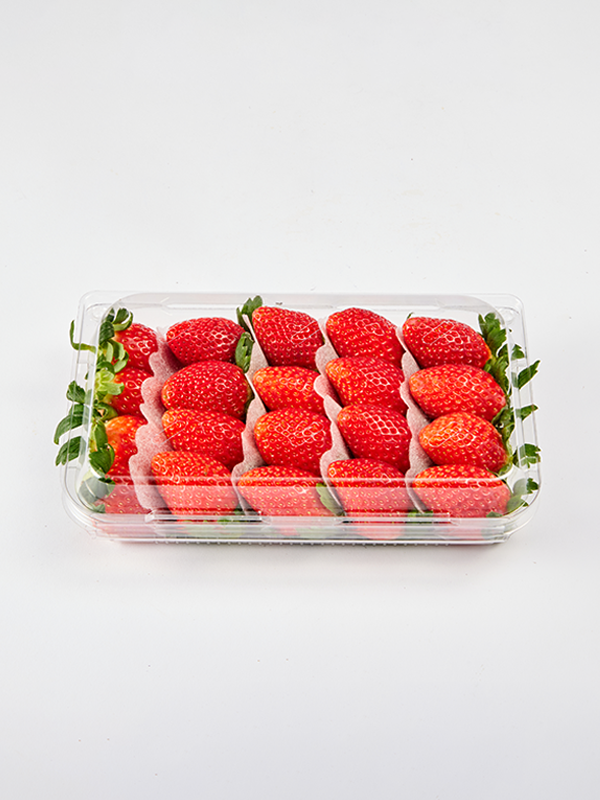 무농약 4℃ 금실 딸기(특/500g)