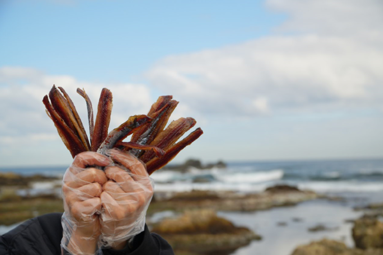 국내산 포항 해풍 과메기 단품, 야채 세트