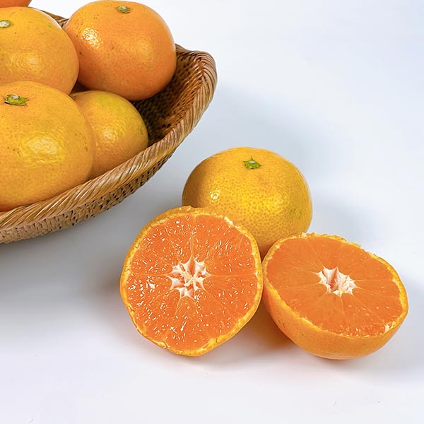 [감귤최고] 제주 조생귤 가정용 4.5kg 실속형