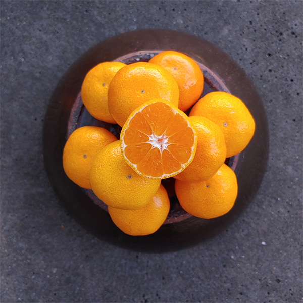 [감귤최고] 타이벡 감귤 4.5kg 가정용 실속형