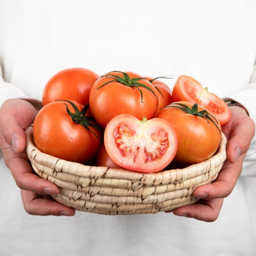 관우농가 스테비아 완숙 토망고 대표이미지 섬네일