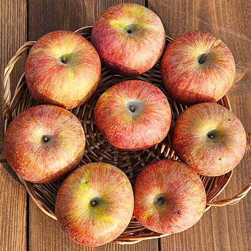 관우농가 부사 사과 가정용 B급