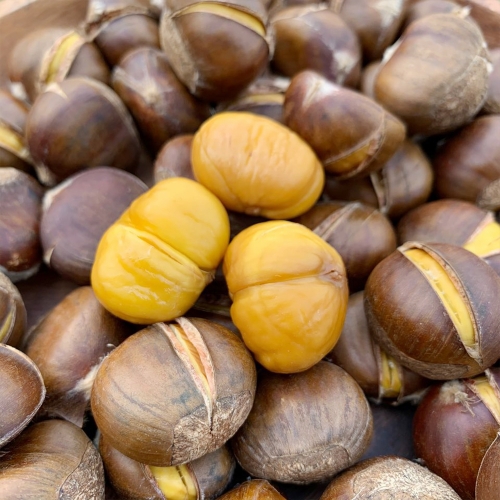 관우농가 24년 햇약단밤