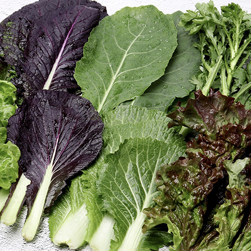 관우농가 제철 쌈채소 모둠 (7종 랜덤)