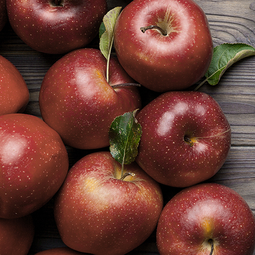 관우농가 감홍사과 특품