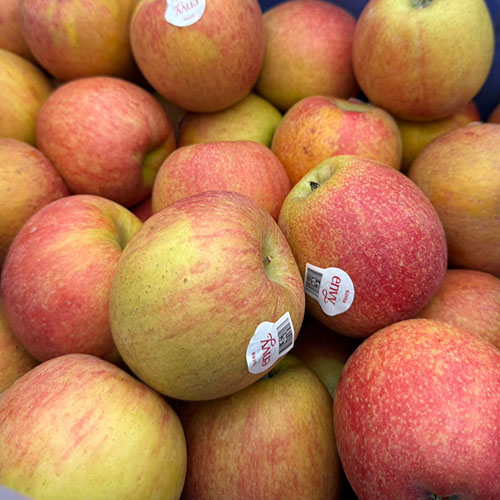 관우농가 엔비사과 정품