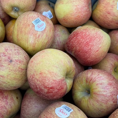 관우농가 엔비사과 팬시