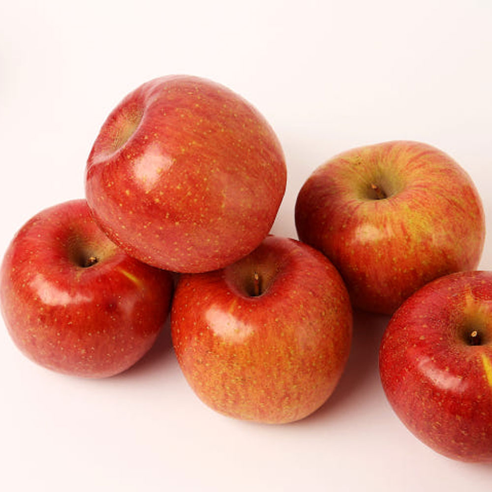 관우농가 GAP 인증 괴산 부사