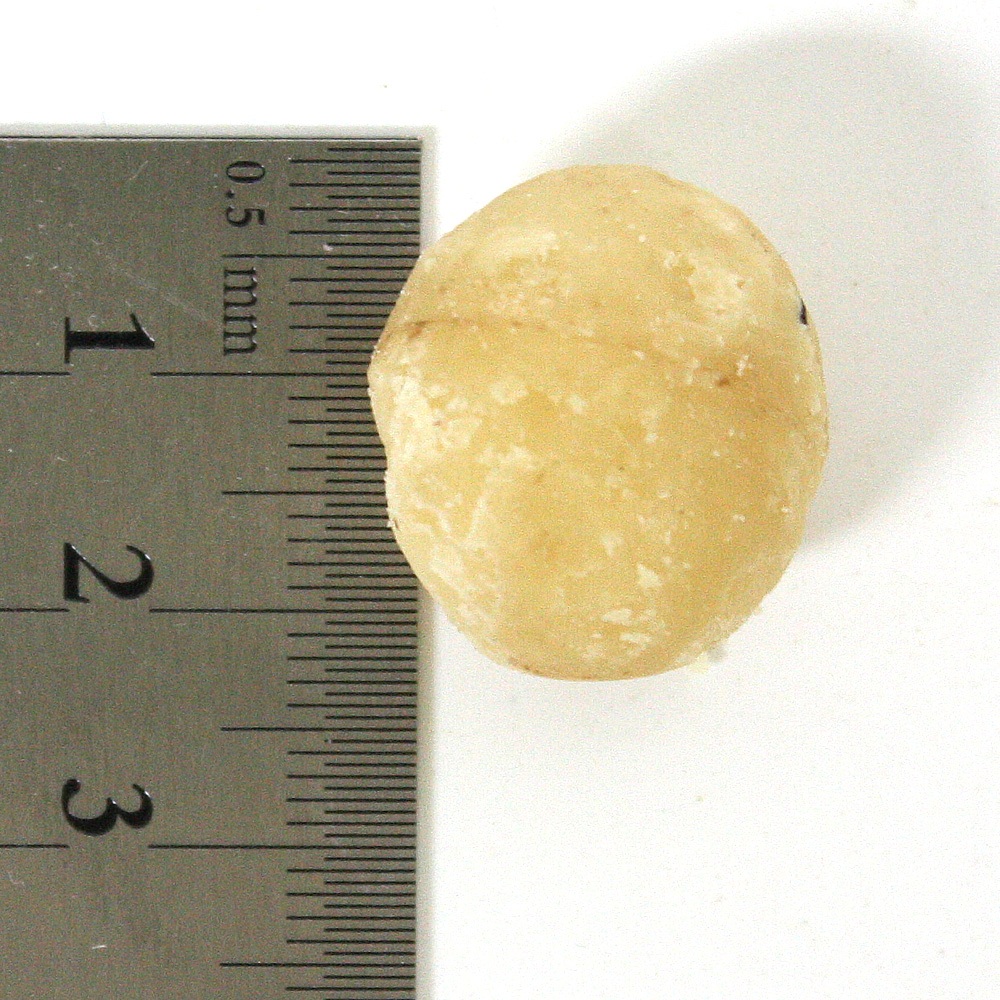 햇 마카다미아 2호 1kg 호주산 마카다미아 무염견과류