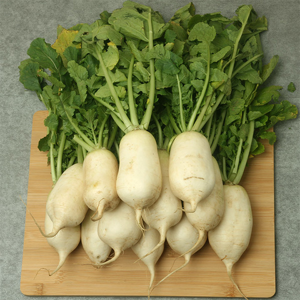 산지직송 단양 절임 알타리무